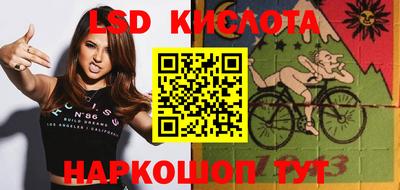 Альфа ПВП Кандалакша