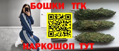 Альфа ПВП Кандалакша