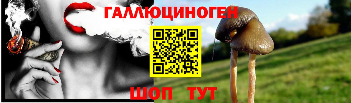 Галлюциногенные грибы GOLDEN TEACHER  Вход с VPN  Лысьва  Псилоцибиновые грибы мухоморы 